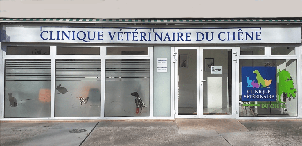 Clinique Vétérinaire du Chêne Viroflay à proximité de Versailles