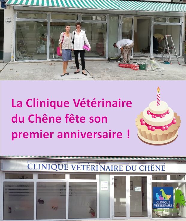 vétérinaire Viroflay Versailles Chaville