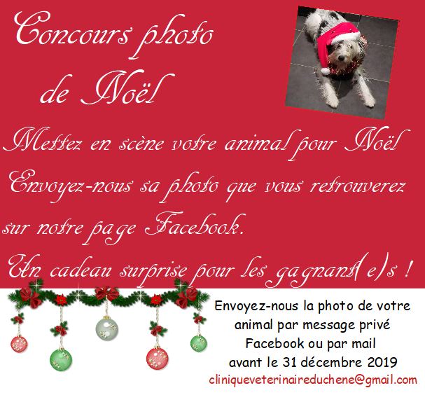 Mettez en scène votre animal pour Noël, et envoyez-nous sa photo que vous retrouverez sur notre page. Un cadeau surprise pour les gagnant(e)s !