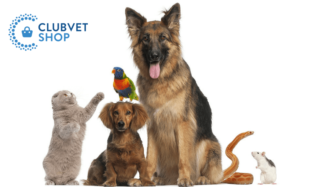 CLUBVET SHOP