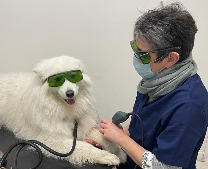 Laser thérapeuthique