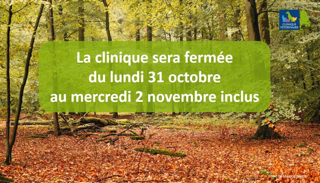 La clinique sera fermée
du lundi 31 octobre
au mercredi 2 novembre inclus
