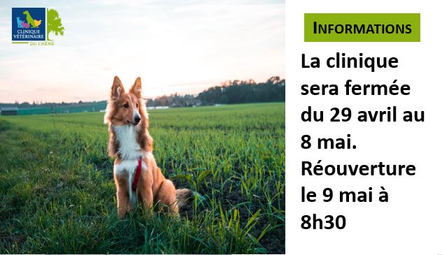 La clinique sera fermée du 29 avril au 8 mai. Réouverture le 9 mai à 8h30