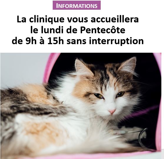 La clinique vous accueillera
le lundi de Pentecôte
de 9h à 15h sans interruption